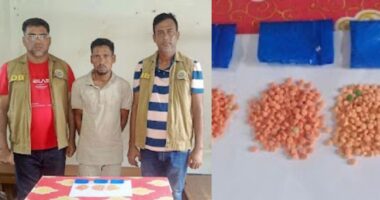 ডিবি পুলিশের অভিযানে ৬০০ পিস ইয়াবাসহ মাদক কারবারি আটক