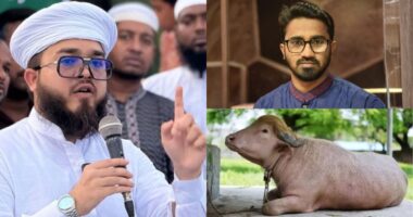 “আমি তো যাবই, তবে থাকবো বাঘের সাথে, রাশেদ খাঁনকে রেখে আসবো ‘ডোনাল্ড ট্রাম্প’ নামের এক গরুর পাশে” : হানজালা
