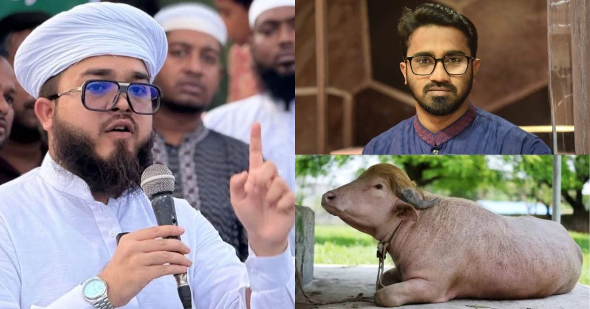 “আমি তো যাবই, তবে থাকবো বাঘের সাথে, রাশেদ খাঁনকে রেখে আসবো ‘ডোনাল্ড ট্রাম্প’ নামের এক গরুর পাশে” : হানজালা