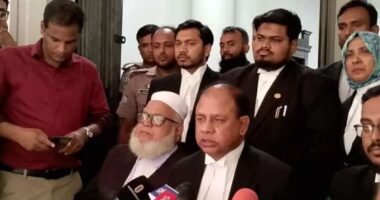 ভারত ও বাংলাদেশজুড়ে ছিল জিয়াউলের কিলিং নেটওয়ার্ক : চিফ প্রসিকিউটর