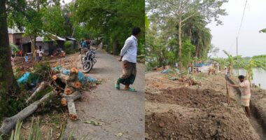 গুরুদাসপুরে সড়কের গাছ কেটে দোকান নির্মাণের অভিযোগ