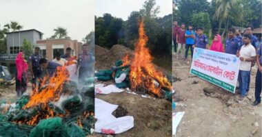 বিপুল পরিমাণ অবৈধ চায়না দুয়ারি জাল পুড়িয়ে ধ্বংস