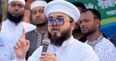 পরিস্থিতি শান্ত করতে এবং তাদের নিবৃত্ত করতেই আমি কিছুটা উত্তেজিত হয়ে পড়েছিলাম: হানজালা