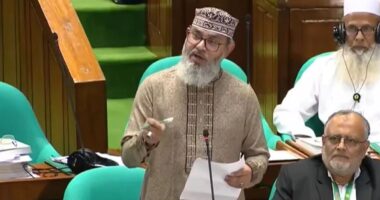 বিএনপির অনেক কাজই জুলাই স্পিরিটের সঙ্গে মেলে না: মাসুদ সাঈদী