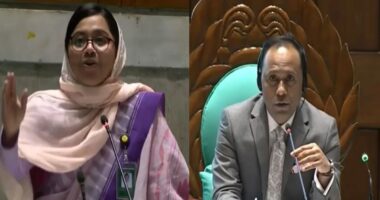 আমরা শাহবাগ থেকেই উঠে এসেছি এবং শাহবাগের সত্তা নিয়ে এখানে দাঁড়িয়েছি: মাহমুদা মিতু
