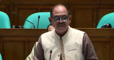 ‘স্বামী-স্ত্রীর ডিভোর্স হতে পারে, ভারতের সঙ্গে ডিভোর্স হতে পারে না’: বিএনপির এমপি সিরাজ