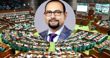 জামায়াতের রাজনীতি নিষিদ্ধ চাইলেন বিএনপির সংসদ সদস্য