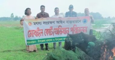 ঘাটাইলে ১২০ টি চায়না জাল জ্বদ ধ্বংস করা ভ্রাম্যমাণ আদালতের 