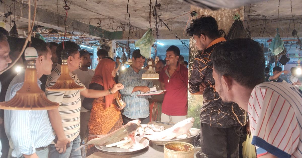বড়লেখায় বোয়াল মাছের পোনা বিক্রির দায়ে দুই ব্যবসায়ীকে জরিমানা 