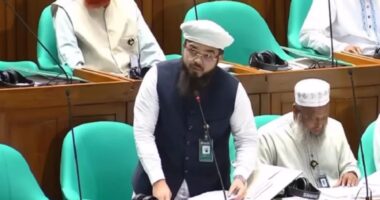 বিদ্যুৎ সংকট দ্রুত সমাধান না করলে এলাকায় মান-সম্মান নিয়ে থাকা যাবে না: সংসদে হানজালা