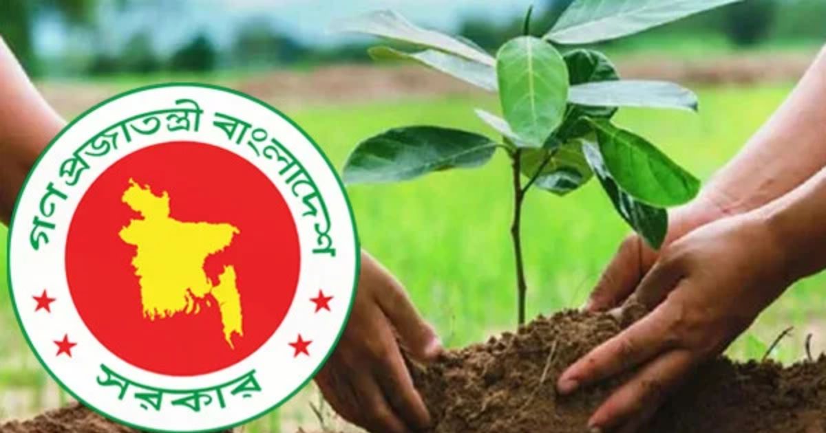 ২৫ কোটি গাছ রোপণে বছরে ১ বিলিয়ন ডলার আয়ের সম্ভাবনা: সরকারি প্রতিবেদন