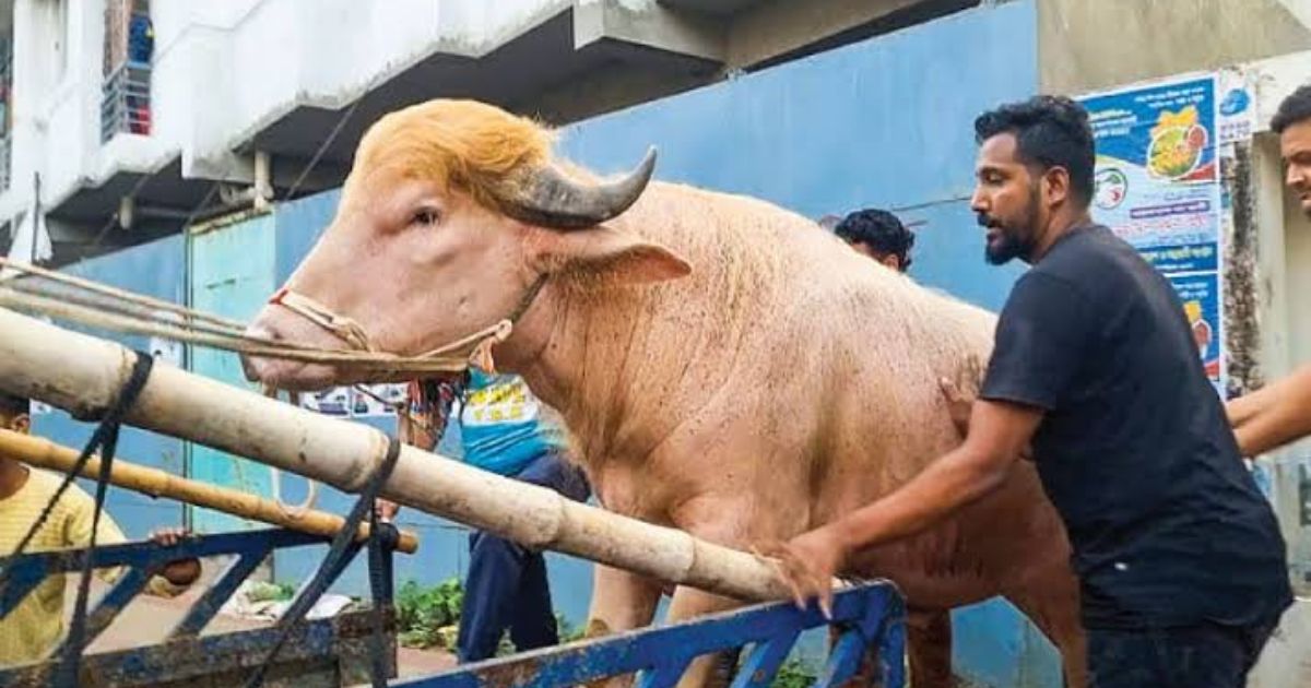 জাতীয় চিড়িয়াখানা থেকে সাভারে ‘ডোনাল্ড ট্রাম্প’
