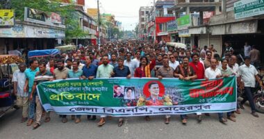 মেহেরপুরে বিএনপির মিছিল ও সমাবেশ 