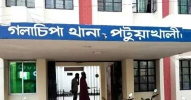 পরিত্যক্ত কার্টন থেকে অপরিপক্ব নবজাতকের মরদেহ উদ্ধার