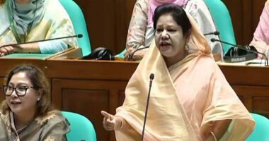 শেখ হাসিনাকে ফিরিয়ে এনে সেই একই চেয়ারে বসিয়ে বা শুইয়ে বৈদ্যুতিক শক দেওয়া উচিত : এমপি রেহানা