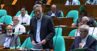 দ্বিতীয় পদ্মা সেতুর সমীক্ষায় সাড়ে ৪ কোটি টাকা বরাদ্দ সংসদে অর্থমন্ত্রী
