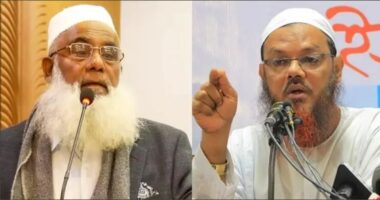 এমপি মনিরুলকে নিয়ে বক্তব্য, মুফতি ফয়জুল করিমের বিরুদ্ধে মামলা