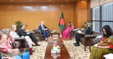 নবায়নযোগ্য জ্বালানি খাতে সুইডিশ বিনিয়োগ বৃদ্ধির আহ্বান প্রতিমন্ত্রীর