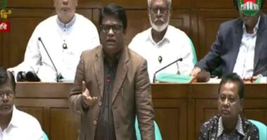 ‘৫০ বছরে আ.লীগের ফিরে আসার সম্ভাবনা ক্ষীণ’: ডা. মাহবুবুর রহমান