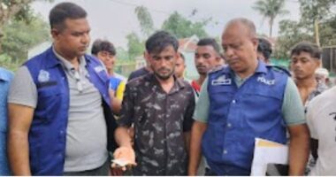 সখীপুরে ৩৮ পিস ইয়াবাসহ মাদক ব্যবসায়ী আটক