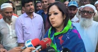 অর্থনীতি ও আইনশৃঙ্খলার অগ্রগতি না হলে সরকারের পরিণতি দুঃখজনক হবে: রুমিন ফারহানা