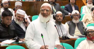 সংসদকে পাশ কাটিয়ে কিছু নয়, চুক্তি হতে হবে সমতার ভিত্তিতে: সংসদে ডা. শফিকুর রহমান