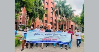 কেআইবিতে কৃষিবিদের ওপর হামলার প্রতিবাদে শেকৃবিতে বিক্ষোভ সমাবেশ