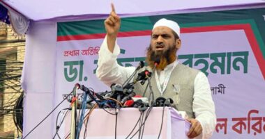 শেখ হাসিনার পথে হাঁটলে তারেক জিয়ার ভিন্ন ভাগ্য হবে না: মামুনুল হক
