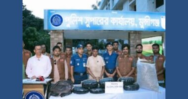মুন্সিগঞ্জে ৩০ কেজি গাঁজাসহ যুবক গ্রেপ্তার