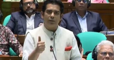 সংসদে স্পিকারের নাম হাফিজ সাহেব’ডাকায় ডেপুটি স্পিকারের আপত্তি, ক্ষমা চাইলেন পার্থ
