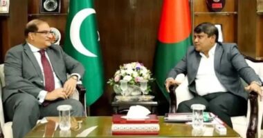 প্রতিরক্ষা উপদেষ্টার সঙ্গে পাকিস্তানের হাইকমিশনারের সৌজন্য সাক্ষাৎ