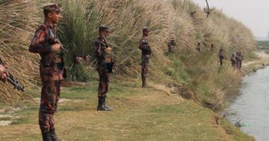 ভারতে অনুপ্রবেশের অভিযোগে ৫ বাংলাদেশি গ্রেপ্তার