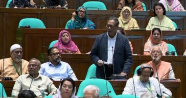 বিরোধীরা শুধু ক্ষমতার ভাগের সংস্কার চায়, স্বাস্থ্য খাতের নয়: স্বাস্থ্য প্রতিমন্ত্রী