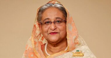 ‘সব বাধা ও ষড়যন্ত্র মোকাবিলা করে এ বছরই দেশে ফিরব: শেখ হাসিনা