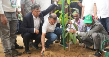 একযোগে ২৯ হাজার শিক্ষাপ্রতিষ্ঠানে বৃক্ষরোপণ, উদ্বোধন করবেন প্রধানমন্ত্রী