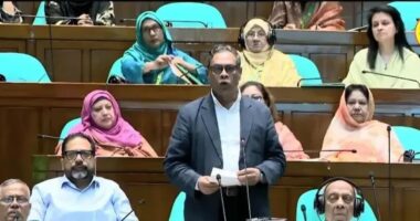 বিরোধী দল শুধু সেই সংস্কারের কথা বলে, যেটা তাদের ক্ষমতার ভাগ দেবে: স্বাস্থ্য প্রতিমন্ত্রী