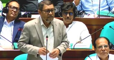 আদ-দ্বীন হাসপাতাল নিয়ে সংসদে যা বললেন স্বাস্থ্যমন্ত্রী