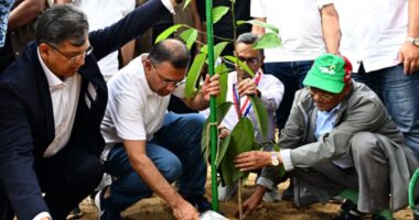 দেশজুড়ে শিক্ষাপ্রতিষ্ঠানে আজ বৃক্ষরোপণ কর্মসূচির উদ্বোধন করবেন প্রধানমন্ত্রী