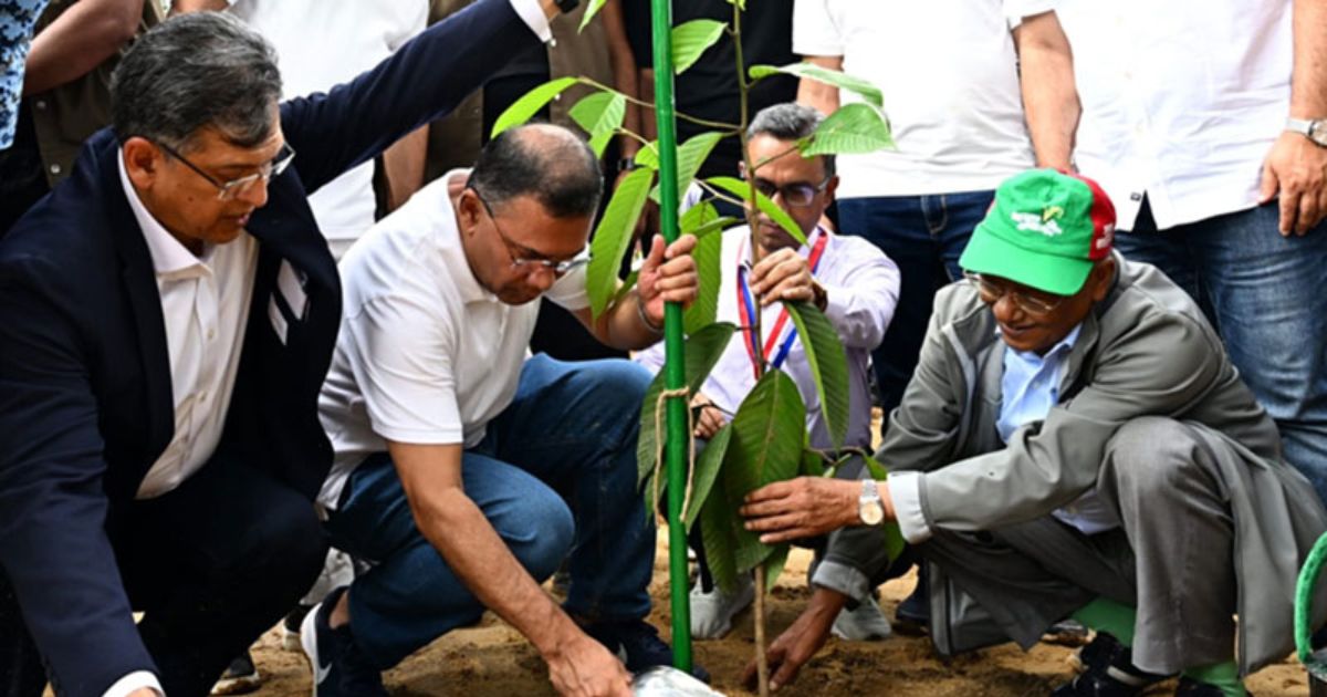 দেশজুড়ে শিক্ষাপ্রতিষ্ঠানে আজ বৃক্ষরোপণ কর্মসূচির উদ্বোধন করবেন প্রধানমন্ত্রী