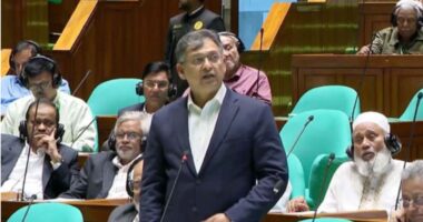 বিগত অন্তর্বর্তী সরকারের সময়ে সর্বোচ্চ দুর্নীতি হয়েছে: সংসদে স্বরাষ্ট্রমন্ত্রী