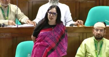 বাজেটে আশার বাণী, বাজেটে স্বপ্ন দেখানো হলেও খেসারত দেয় জনগণ: সংসদ সদস্য রুমিন ফারহানা