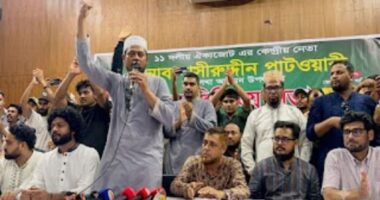 সংস্কার না হলে বিএনপি সরকারেরও পতন হবে: নাসিরুদ্দিন পাটোয়ারী