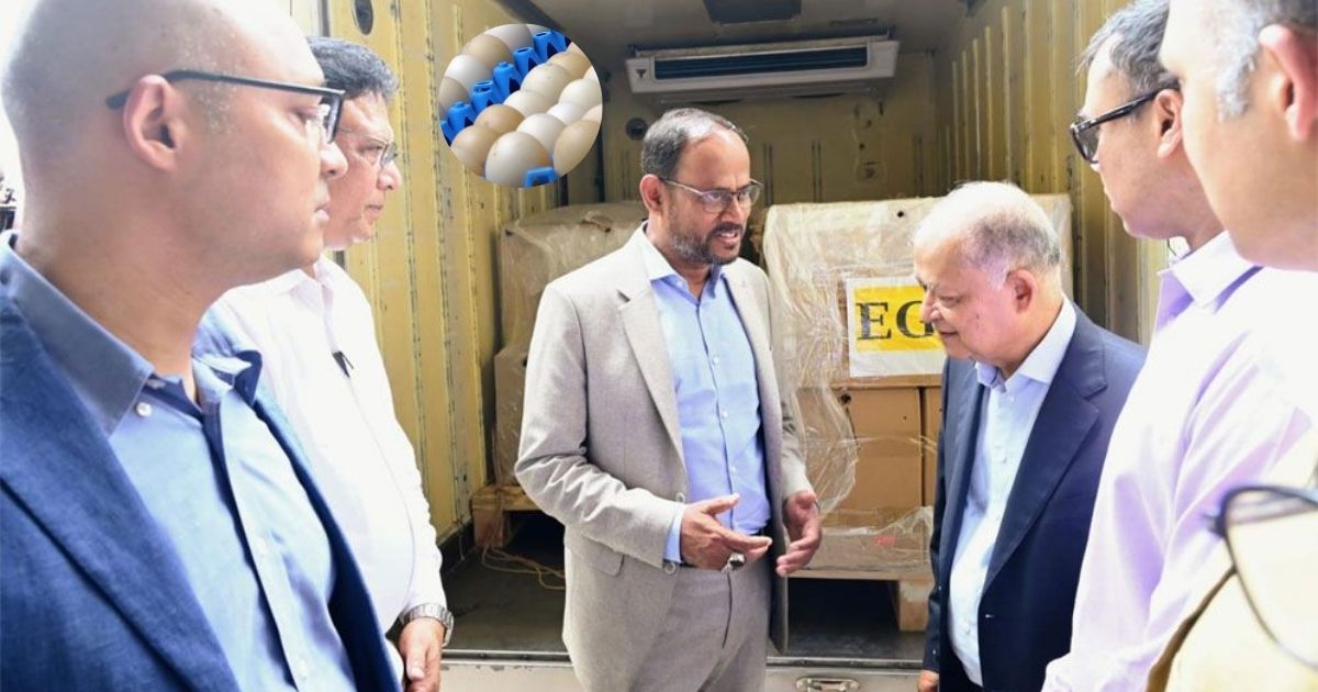 প্রথমবারের মতো নাইজেরিয়ায় ‘হ্যাচিং এগ’ রপ্তানি করল বাংলাদেশ