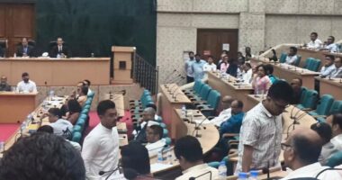 ঢাবিতে শেখ পরিবারের ৫ স্থাপনার নাম পরিবর্তন না হওয়ায় ডাকসু নেতাদের ওয়াকআউট
