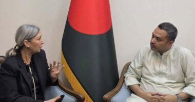 প্রধানমন্ত্রীর উপদেষ্টা মাহদী আমিনের সঙ্গে আইসিএমপিডি প্রতিনিধিদলের সাক্ষাৎ