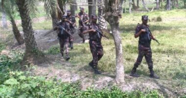বড়লেখা সীমান্তে বিজিবির গুলিতে আহত ভারতীয় চোরাকারবারি