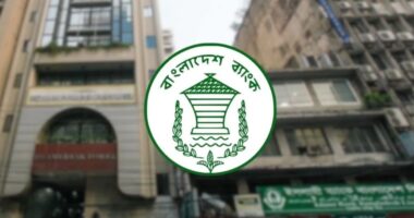 আন্দোলনের চাপে নয়, আইন মেনেই সিদ্ধান্ত হবে: বাংলাদেশ ব্যাংক