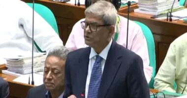 রোহিঙ্গা সংকট সমাধানে চীন ইতিবাচক ইঙ্গিত দিয়েছে: মির্জা ফখরুল
