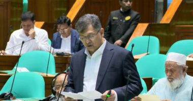 মডেল মসজিদ নির্মাণে অনিয়মের অভিযোগ তদন্তের নির্দেশ দেওয়া হবে: স্বরাষ্ট্রমন্ত্রী