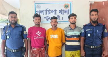 গলাচিপার চরবিশ্বাসে ইয়াবাসহ তিন যুবক গ্রেফতার